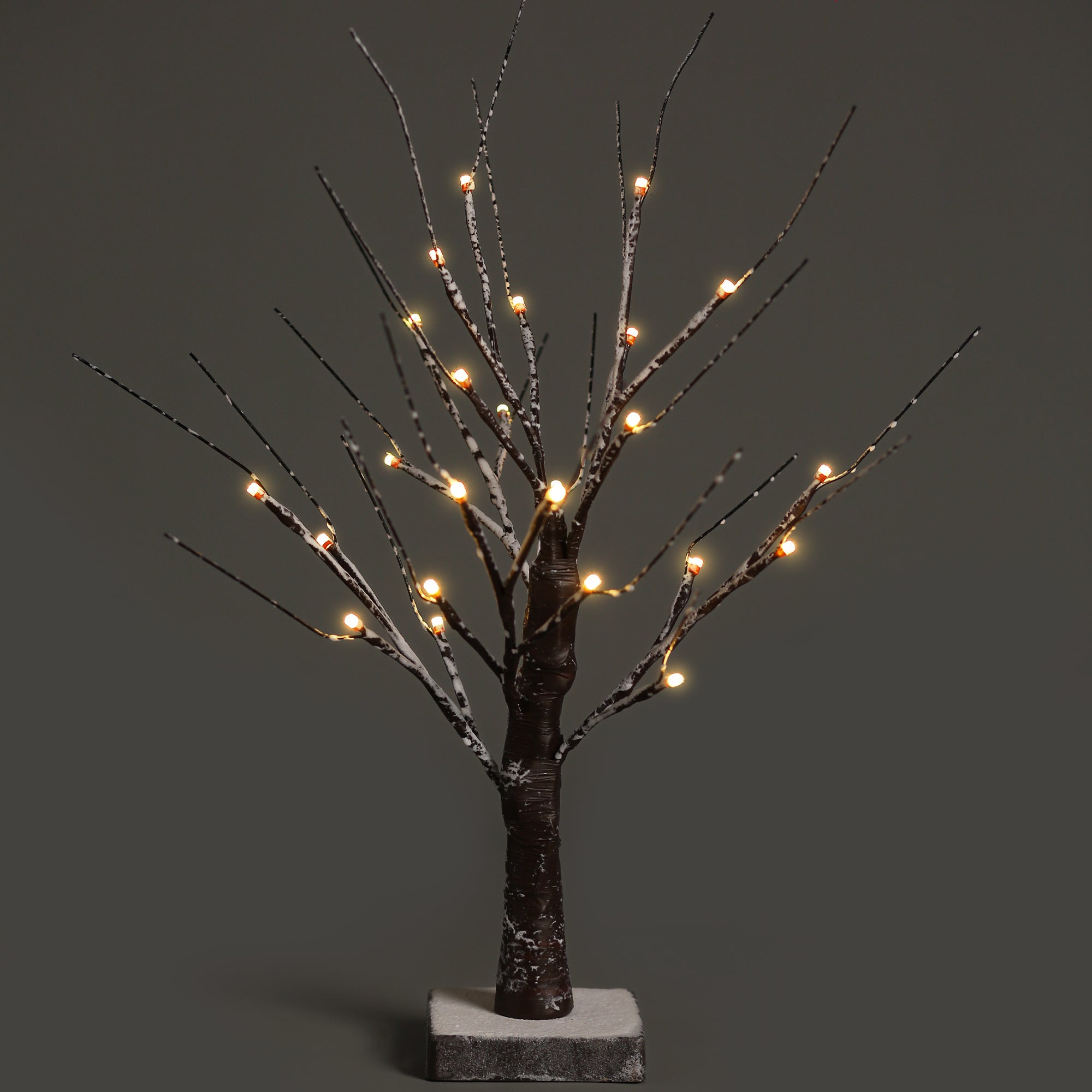 NETTA 2FT Birch Twig Tree - Pre-Lit with 24 Warm White LEDs